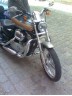 Дуги для Harley-Davidson Sportster 883, 1200 (2004-2020)